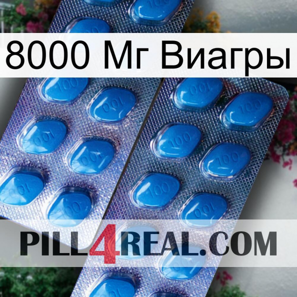 8000 Мг Виагры viagra2.jpg